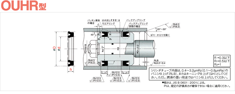 OUHR | ピストンパッキン | オイルシール販売.com【NOK製品専門通販