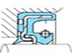 TCZ