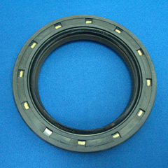 GJ4063P0 TCJ 100 125 13 NBR+PTFE NOK | オイルシール販売.com